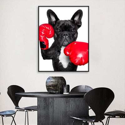 BOXING FRENCHIE